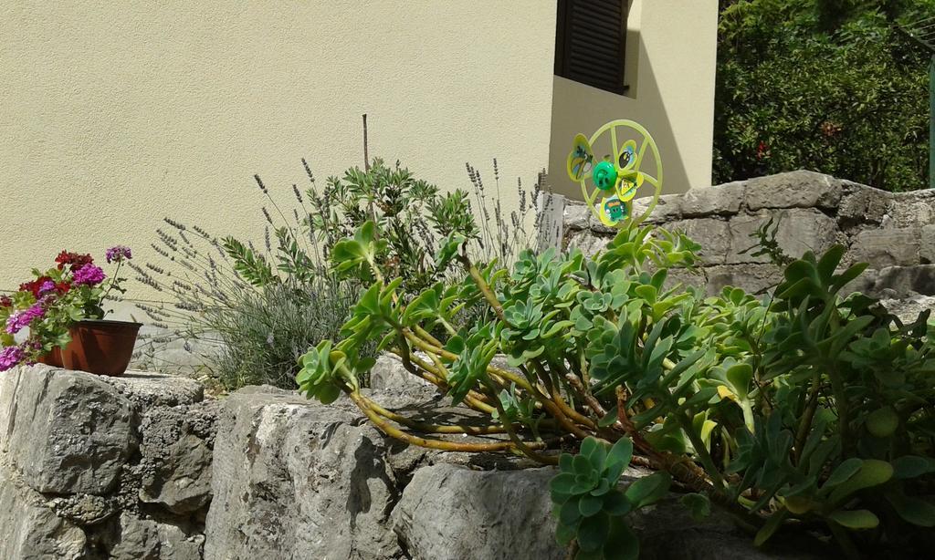 Apartment Adela Kotor Dış mekan fotoğraf