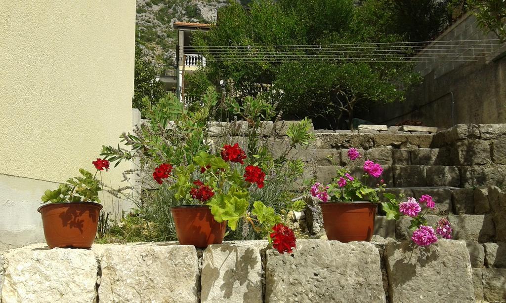 Apartment Adela Kotor Dış mekan fotoğraf